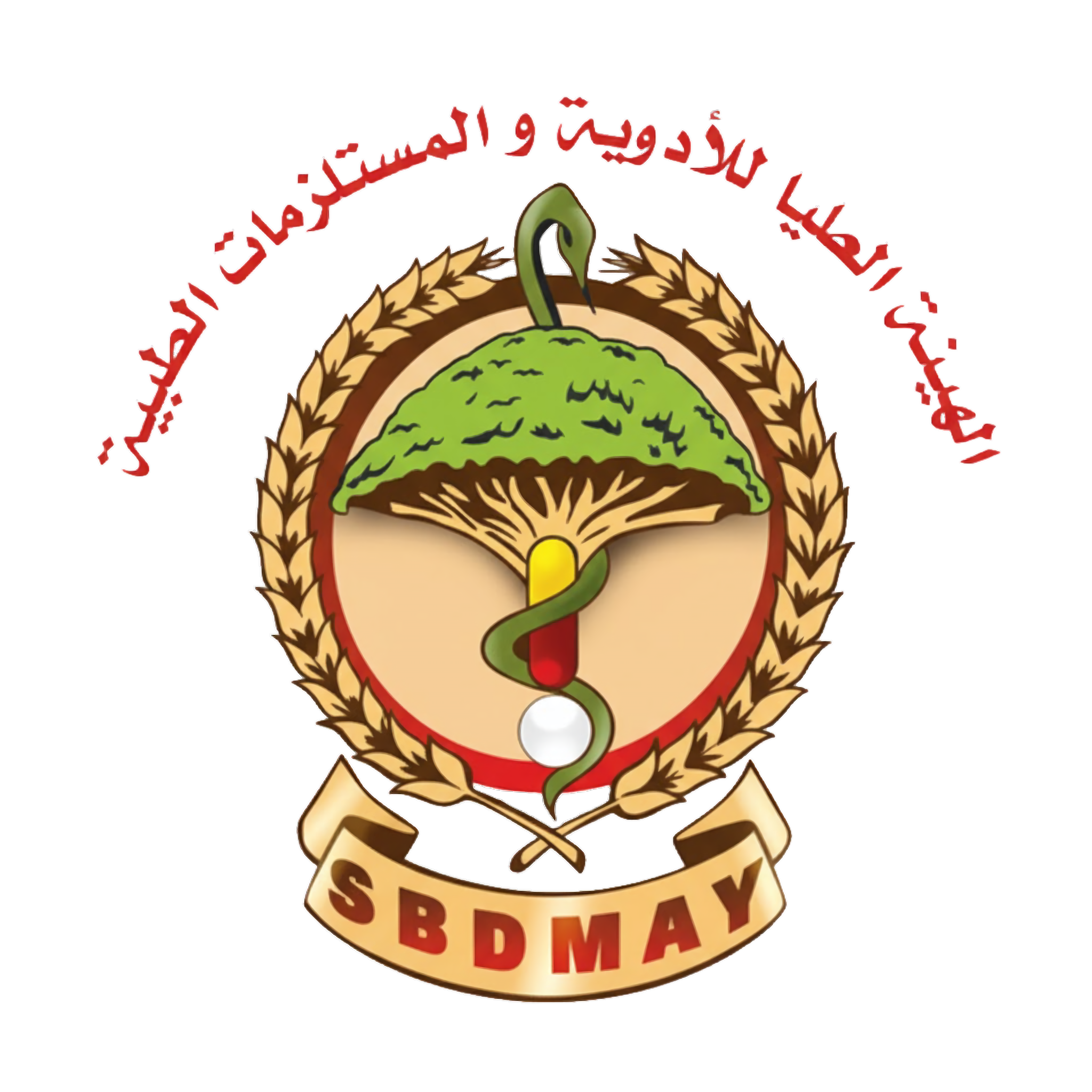 الهيئة العليا للأدوية والمستلزمات الطبية